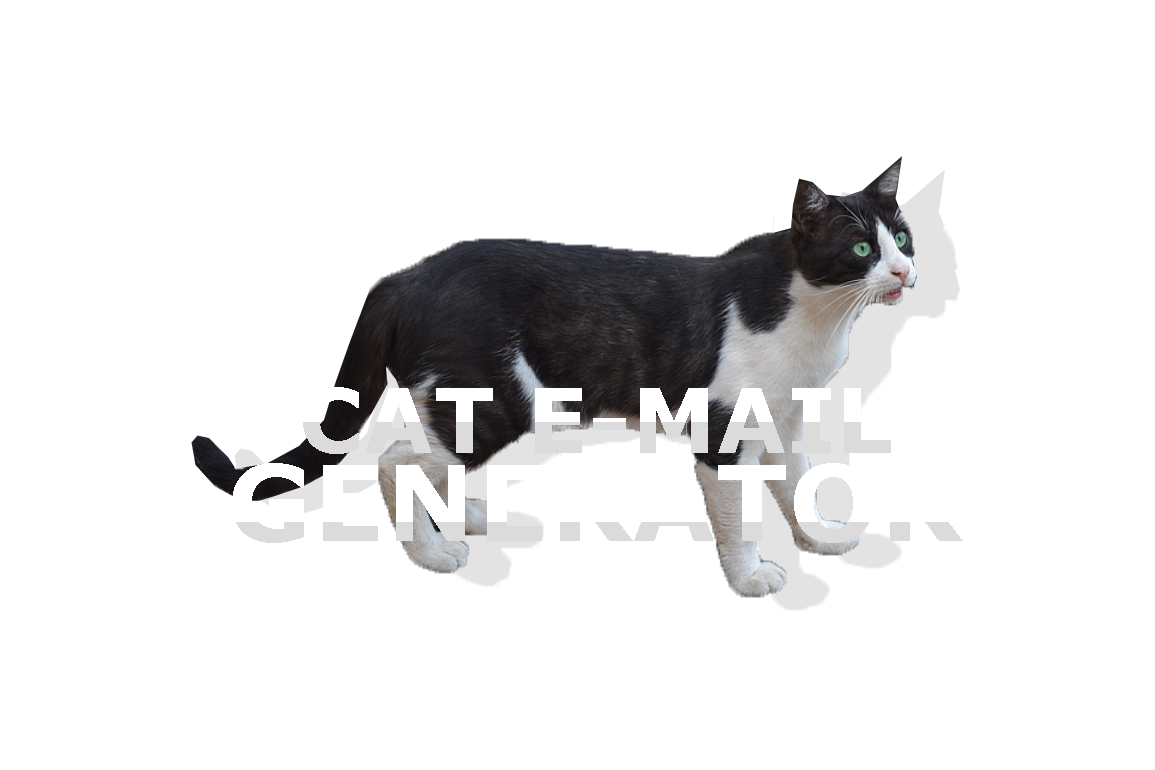 gato